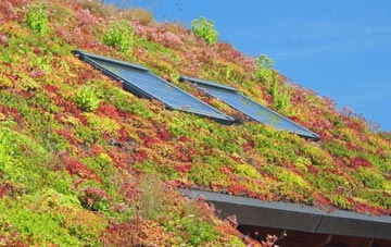 Thorpe Satchville living roof systems